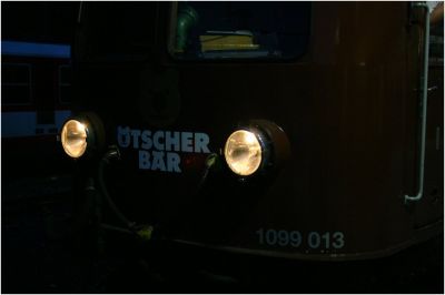 1099.013 "Ötscherbär"
Schlüsselwörter: 1099 , 13