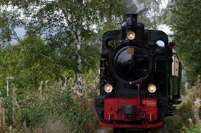 Unmittelbar vor der Haltestelle Seissenschmidt liegt dieser tolle Fotopunkt, der Zug kämpft sich hier eine längere Gerade bis zur Haltestelle empor.
Schlüsselwörter: MME , Sauerland , Bieberlies