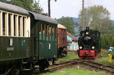 Umsetzen in Hüinghausen.
Schlüsselwörter: MME , Sauerland , Bieberlies