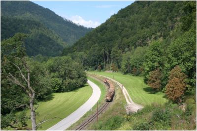 Gleich hinter Groß Hollenstein hat man bereits die erste Möglichkeit den Zug zu fotografieren, idealerweise soltle er dann aber auch in Richtung Lunz am see utnerwegs sein.
Schlüsselwörter: 2095 , 010