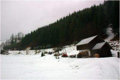 Auf der Geraden kurz vor Lunz Amonhaus
Schlüsselwörter: 2093 , 01 , Amonhaus , Winter