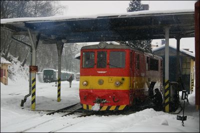 Die Maschine für unseren Güterzug hat ihren Schuppen verlassen, es ist die letzte Maschine in dieser Farbgebung und dem originalen Motor, alle anderen Maschinen sind bereits remotorisiert (flüsterleise!) 
Schlüsselwörter: JHMD , Jindrichuv , Hradec , Nova , Bystrice