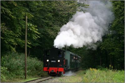 Einfahrt der 298.52 in Pergern
Schlüsselwörter: 298 , 52