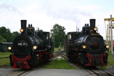 Aufstellung in Gmünd
Nach einer kleinen Spende an die Lokführer für die Anstrengungen der letzten beiden Tage werden die Maschinen ein letztes Mal zur Parade aufgestellt.

Nur wenige Stunden später steht 399.01 auf dem Transportwagen ins Pinzgau.
Schlüsselwörter: Waldviertel , 399 , Doppel , Gmünd , Parade