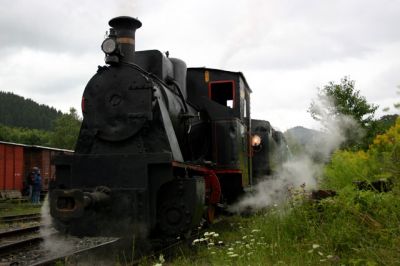 "Uta 13" + 699.101
Es schüttet mittlerweile aus vollen Schaffeln, statt den Zug Treibach-Pöckstein zu fotographieren stelle ich mich lieber im Pöcksteiner Heizhaus unter.

Den zweiten Zug dieses Tages stört der Regen natürlich nicht, Uta13 wird vorgespannt.

Schlüsselwörter: Gurktalbahn , Uta , 13 , 699 , 101