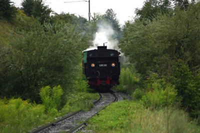 699.101 im "Dschungel"
Hier erkennt man den teilweise sehr starken Bewuchs neben und auf der Strecke.

Schlüsselwörter: Gurktalbahn , 699 , 101