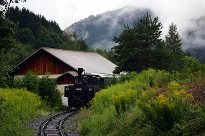 699.01 im Verschub
Verschub im Bahnhof Pöckstein-Zwischenwässern. 

Ich mache mich unterdessen wieder mit meinem Rad auf Richtung Treibach-Althofen um im Bahnhofscafé bei einem heißen Tee aufzutrocken.

Schlüsselwörter: Gurktalbahn , 699