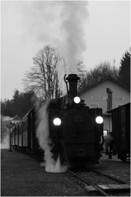 298.102 mit dem Winterdampfzug am 31.12.2011 in Steyr Lokalbahnhof
Schlüsselwörter: 298