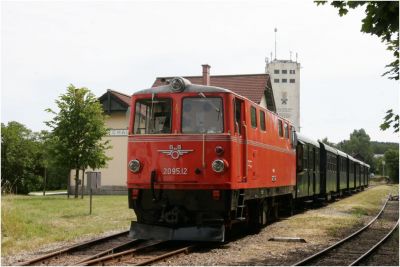 2095.12 nach dem Umsetzen in Litschau
Schlüsselwörter: 2095 , 12 , noevog , növog