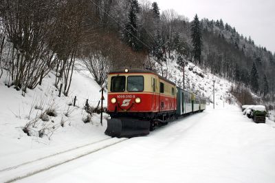 1099.010-9 im Natterstal zwischen Schwarzenbach/Pielach und Laubenbachmühle
Schlüsselwörter: 1099 , 010