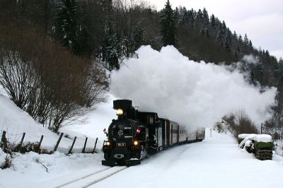 Mh.6
Anlässlich der Reise einer Hochzeitsgesellschaft fuhr am 27.12.2005 die Mh.6 mit einem "Kurz"-Panoramic nach Gösing.
Schlüsselwörter: Mh.6 , 399 , Mariazellerbahn , Panoramic, Winter