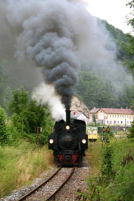 699.103 bei der Ausfahrt aus dem Bahnhof Kienberg/Gaming.
Schlüsselwörter: 699 , 103