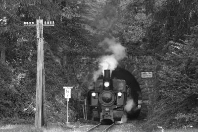 Yv.2 taucht mit dem Güterzug aus dem Opponitzer Tunnel auf.
Schlüsselwörter: Yv.2 , 598 , 02