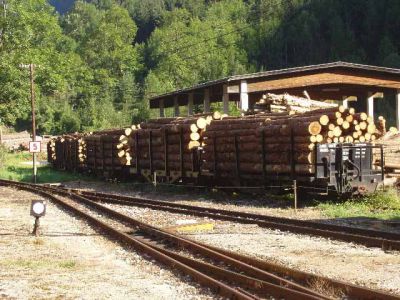 Stolz auf Holz !
Voll beladen warten die SSm/s in Großhollenstein auf Arbeit.

Der einzige Güterzug der Woche wird sie von Großhollenstein nach Waidhofen a. d. Ybbs bringen. 

72292 (Großh. 11:36 * - Waidh. 13:00 *)
* Richtzeiten (Stand 04-05)
Schlüsselwörter: Ybbstal , SSm/s , Güterzug , Großhollenstein