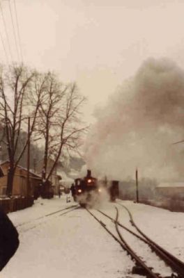 298.51 beim Umsetzen in Grünburg. Der letzte Zug der auf der Steyrtalbahn unter alter Führung fuhr.
Schlüsselwörter: 298 , 298.51 , Steyrtalbahn, Grünburg