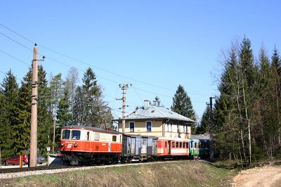 Ötscherbär in Winterbach
Schlüsselwörter: 1099