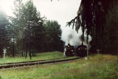 Sonderzüge auf dem Weg nach Litschau und Heidenreichstein
Schlüsselwörter: 399, 298.207