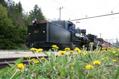 Bh.1 und Mh.6 in Mitterbach
Schlüsselwörter: Bh.1 Mh.6