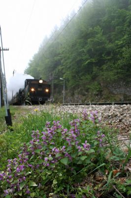 Bh.1 und Mh.6 in Puchenstuben
Bei der Rückfahrt von der 100 Jahrfeier Mariazellerbahn
Schlüsselwörter: Bh.1 Mh.6