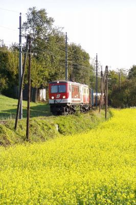 Sonderzug 95 Jahre Elektrischer Betrieb bei Kammerhof
Schlüsselwörter: 1099 007 , 1099 013