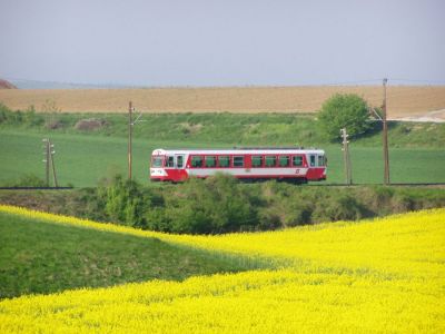 Wunderschöne Farbenkleckse zaubert der Frühling ins Land.
Schlüsselwörter: 5090 , Mariazellerbahn , Matzersdorf