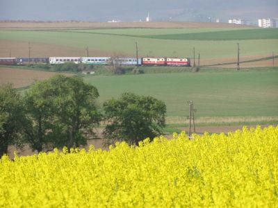 Doppeltraktion mit 1099.002 und 1099.016 bei Matzersdorf am Weg nach St.Pölten.
Schlüsselwörter: 1099 , Mariazellerbahn , Doppeltraktion , 002 , 016