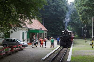 Im Bahnhof Csillebérc kreuzen wir einen mit der 490.039 geführten Dampfzug.
Schlüsselwörter: Budapest , Kindereisenbahn , MAV , 490