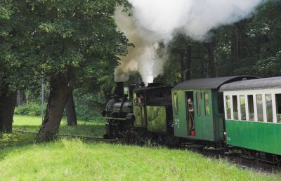 Bei Büchl, etwas außerhalb von Weiz, wird ein Waldstück durchfahren.
Schlüsselwörter: Feistritztalbahn , 83