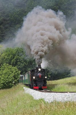 Bei einer Scheinanfahrt auf freier Strecke zwischen der ehemaligen Haltestelle Bachl und dem Grub-Viadukt kann die 83-180 zeigen, was in ihr steckt.
Schlüsselwörter: Feistritztalbahn , 83