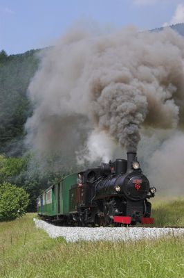 Scheinanfahrt auf freier Strecke zwischen Bachl und dem Grub-Viadukt
Schlüsselwörter: Feistritztalbahn , 83