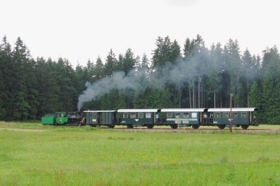 Am Waldrand
Gleich wird 100.13 mit ihrem Zug nach Alt Nagelberg im Wald untertauchen
Schlüsselwörter: Waldviertler Schmalspurbahnen , Nordast , Langegg