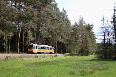 NÖVOG 5090-013 auf Präsentationsfahrt nach Litschau, zwischen Gopprechts und Schönau
Schlüsselwörter: 5090 , Nordast