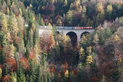 Herbstlicher Farbenzauber am Saugrabenviadukt
Der Saugrabenviadukt bei Annaberg gilt als die bekannteste Brücke der Mariazellerbahn. An der Straße von Reith nach Erlaufboden ist auch ein Blick auf den Viadukt aus einer eher wenig bekannten Perspektive möglich. Bemerkenswert auch die Zusammenstellung dieses Eilzuges E6837 "Ötscherbär": an Stelle des Fahrradtransportwagens ist ein zweiter BD eingereiht.
Schlüsselwörter: Mariazellerbahn , MzB , Bergstrecke , Südrampe , Saugrabenviadukt , 1099 , Ötscherbär