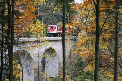 Herbst am Sturzgrabenviadukt
Der Sturzgrabenviadukt liegt gut versteckt im Wald und nur ein winziges Sichtfenster im Geäst gibt den Blick frei auf die 1099 007-5, die hier den Eilzug 6828 zu Tal bringt. 

Schlüsselwörter: Mariazellerbahn , Mzb , Bergstrecke , Nordrampe , Sturzgrabenviadukt , 1099 , 1099 007