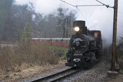 Als sich der Sonderzug mit der Mh.6 auf Bergfahrt begab, hatte bereits starker Regen eingesetzt. Auf den nassen Schienen war die Vorbeifahrt des langen Zug (6 Vierachser + Begleitwagen) ein besonderes akustisches Erlebnis, das für die Nässe entschädigte.
Schlüsselwörter: Mariazellerbahn , MzB , Mh.6 , Bergstrecke , Nordrampe , Talkehre