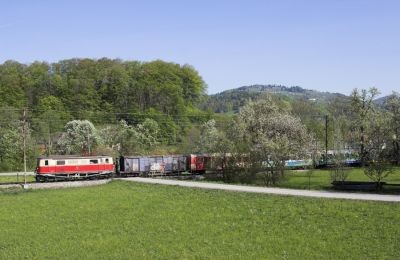 Der "Ötscherbär" im Pielachtal zwischen Schwerbach und Loich unterwegs.
Schlüsselwörter: Mariazellerbahn , MzB , 1099