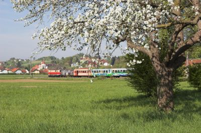 Der mit 1099.02 bespannte 6837 "Ötscherbär" ist hier kurz vor Hofstetten-Grünau unterwegs.
Schlüsselwörter: Mariazellerbahn , MzB , 1099 , Hofstetten-Grünau