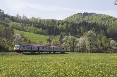 Vor Loich fährt der Triebwagen durch blühende Wiesen
Schlüsselwörter: Mariazellerbahn , MzB , 4090 , Loich