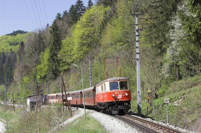 Die Talfahrt zur Mittagszeit führt an diesem strahlend schönen Frühlingstag die ebensolche 1099 011-7, hier bei der Durchfahrt in der Haltestelle Boding.
Schlüsselwörter: Mariazellerbahn , MzB , 1099 ,  Boding