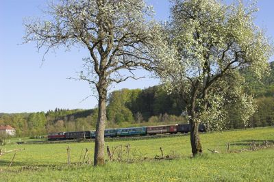 Idyllisch zwischen blühenden Obstbäumen, aber leider knapp im Schatten ist hier der 6842 bei Schwerbach unterwegs.
Schlüsselwörter: Mariazellerbahn , MzB , 1099