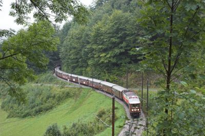 Der lange Wallfahrersonderzug beim Stettenriegeltunnel. Wie überall entlang der Bahn, wuchert auch hier die Vegetation am Streckenrand recht üppig. Gut für die Natur, schlecht für die Fotografen, für die viele Blickwinkel mehr und mehr zur Herausforderung werden.
Schlüsselwörter: Mariazellerbahn , MzB , 1099 , Papstbesuch , Ötscherbär , Nordrampe