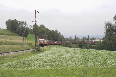 Ein brauner 12-Wagenzug auf der Pielachbrücke bei Völlerndorf.
Schlüsselwörter: Mariazellerbahn , MzB , 1099 , Papstbesuch , Ötscherbär , Völlerndorf