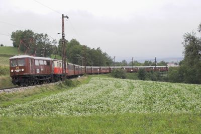 Der braune 12-Wagenzug hat die Pielachbrücke bei Völlerndorf passiert.
Schlüsselwörter: Mariazellerbahn , MzB , 1099 , Papstbesuch , Ötscherbär , Völlerndorf