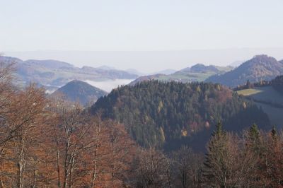 Blick von Winterbach ins Pielachtal. Hier oben hat sich der Nebel schon gelichtet und strahlend blauer Himmel macht die Fahrt zum Panorama-Genuss.
Schlüsselwörter: Mariazellerbahn , MzB , Bergstrecke , Nordrampe