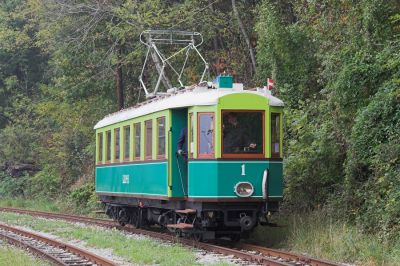 TW1 beim Umsetzen in Payerbach Lokalbahnhof
Schlüsselwörter: Payerbach , Höllentalbahn , TW1