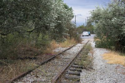 Weiter im Olivenhain
Bevor es nach Kato Lechonia hinein geht, verläßt die Bahn die Straße und verschwindet in einem Olivenhain. (Blick zurück in Richtung Volos)
Schlüsselwörter: Griechenland , Pilionbahn