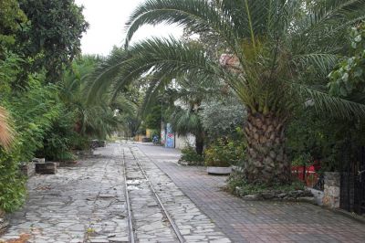 Schienen unter Palmen
Unter den ausladenden Blättern einer Palme führen die hier mit Steinplatten gepflasterten Schienen in den Bahnhof Ano Lechonia (Blick zurück in Richtung Volos).
Schlüsselwörter: Griechenland , Pilionbahn