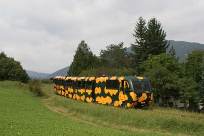 Salamander auf Bergfahrt
Oberhalb des Bahnhofes Puchberg am Schneeberg konnte dieses scheue Exemplar aus der alpinen Tierwelt bei seiner Bergfahrt beobachtet werden.
Schlüsselwörter: Schneeberg , Schneebergbahn , Zahnradbahn , Salamander , Puchberg