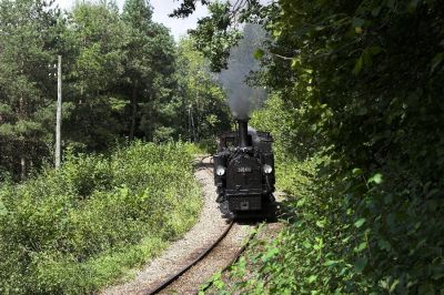 Schlüsselwörter: Waldneukirchen , Steyrtalbahn , 298.102