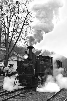 Die "Sierning" hat sich von ihrem Zug getrennt und fährt zum Ausrüsten beim Heizhaus vor. 
Schlüsselwörter: Steyrtalbahn , Grünburg , 298.102